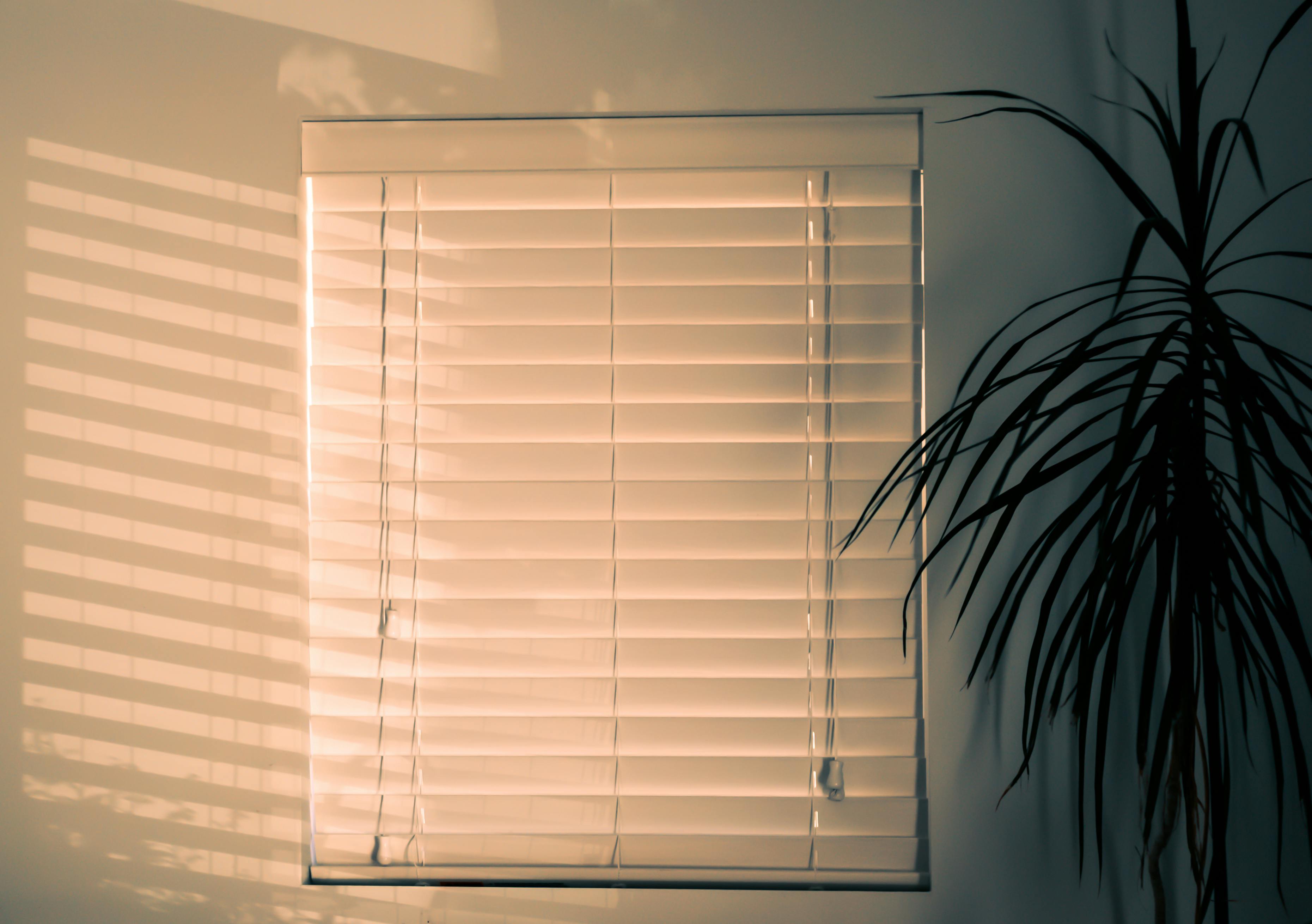window_blinds_image